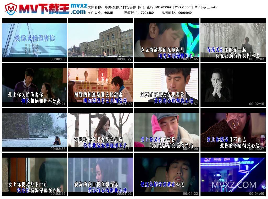 郑勇-爱你又怕伤害你_国语_流行_MD205397